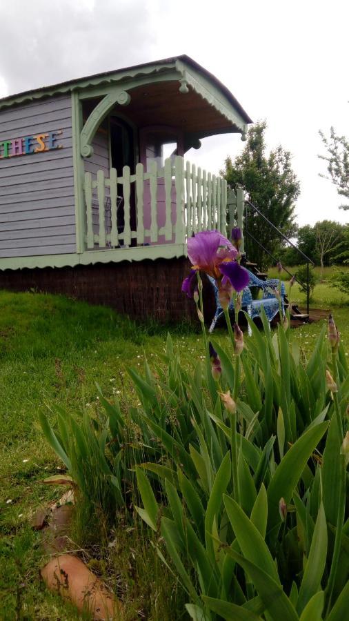 La Parenthese Guest House Villeret Bagian luar foto