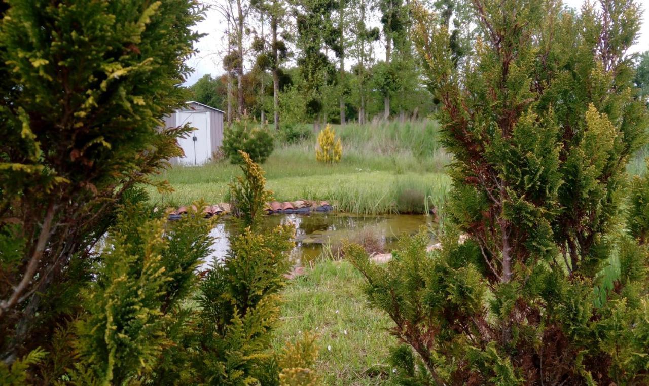 La Parenthese Guest House Villeret Bagian luar foto